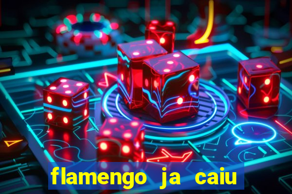 flamengo ja caiu para serie b